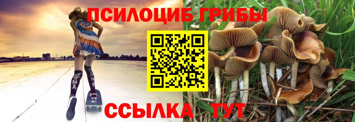 Вольск  Галлюциногенные грибы мухоморы  Псилоцибиновые грибы ЛСД  что такое наркотик  Вход с VPN 